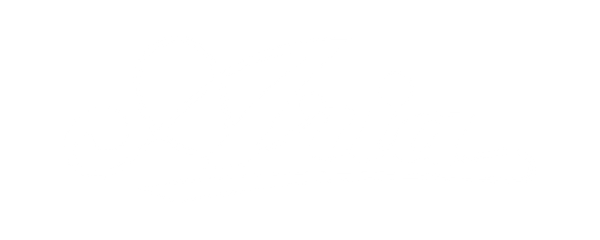 Aria Guitars